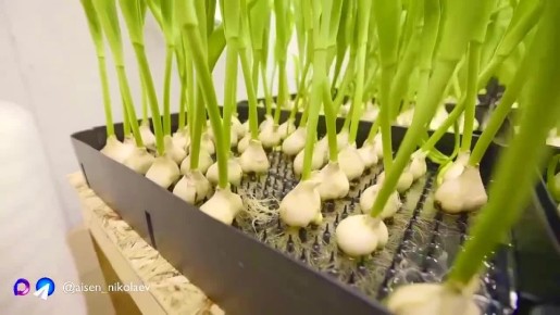 ����� ��������: ������� ������ ���� �����. � ���� ����������� ������� ������ ����� �������� ������ ��� ���������� ��������