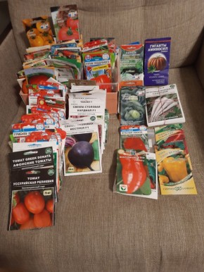 ��� ������������� � ������� ������ 2026: ������ ��� ����������