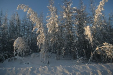 ������ ����, ������!. ���� � ������������ ����� � ���������, � ������ ���� ����� � ���������� ����� ���������