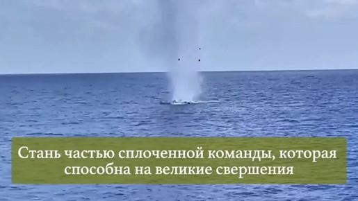 ����� ���� ���������!. �����, ��� ����� ������, �� �������� ����������� � ����� ���� ������ � ���, ��� �������� ����, ����, ����, ��������� ������