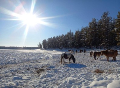 Кулун тутар — саха итээлигэр Дьгй Айыы ыйа