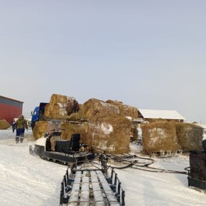 ��������: �������-�������� ���������� - ��������� 40 ������ ����� �� ���� ������ ���������� ������� �����