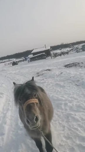 #�������. #��������. ����������� ����� ����� ����� ��������