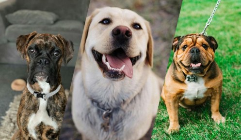 ���-13 ���������� ����� ����� ��� �������� ���������