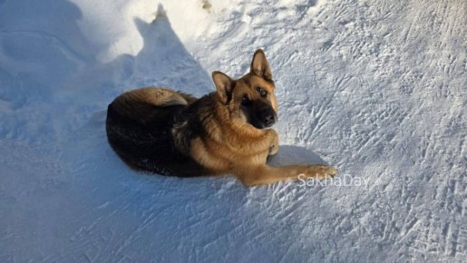 � ������ ��������� ��� ����� ��� �����, ����� ��� ������� �� ����� � ��� �� �����, ��� �� ����������, ������ �����, ��������� ����� �����, ���� ����