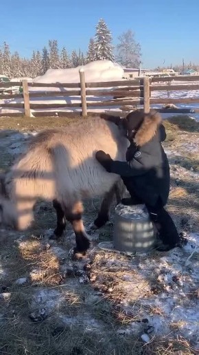 ������ ���� ����� ���������!