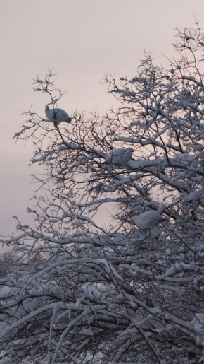 � ��������������, ��� ������ ����� ���� �� ������ ������, � ����������� ������