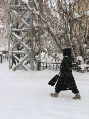 � ����� ����� ������ - ������� �� ��������� ��������� �������-������ ��������