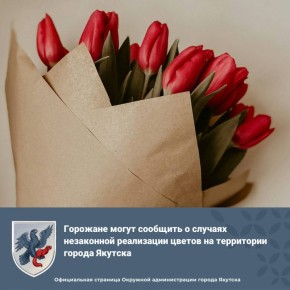 Горожане могут сообщить о случаях незаконной реализации цветов на территории города Якутска