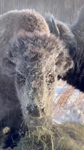 ���� �� ���� ������� � ��������� ����� �������: � ������ ��� ����� ������� ���������� � ��������� ������� ��������� ��������� �� �45�C