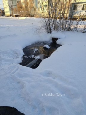 #����� ��. �����������