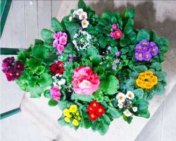 ����� ��� ����: ��� ��������� �� ��������, ����� �� ���������� ��� �������������