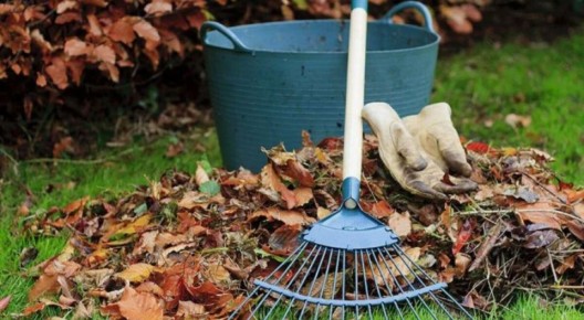 Как гарантировать щедрый урожай в следующем году: ключевые шаги осени