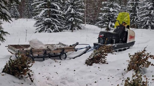 В национальном парке "Ленские столбы" госинспекторы проводят подкормку диких животных