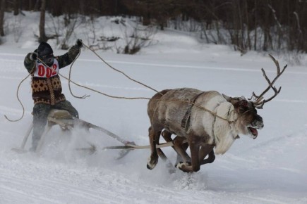 ��� ����������� � ������ ���������� ���������� ��������������� ������������ ���� ���������� � ������