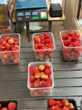 ���� � �������. � ������� ������� �������� ����� �� �������� �� ���� 2200 ������ �� ��. ������ ��?