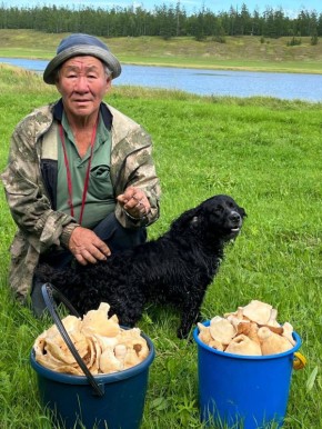 �������� ����� ��������: ��� ������� ���� ����� �����