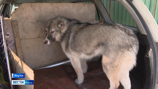 � ������� ����������� �� ������ ������������ �������� ������ �������� � ��������� ������