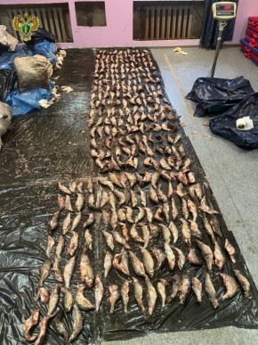 ���������� �������� �� ��������� ������� ��������