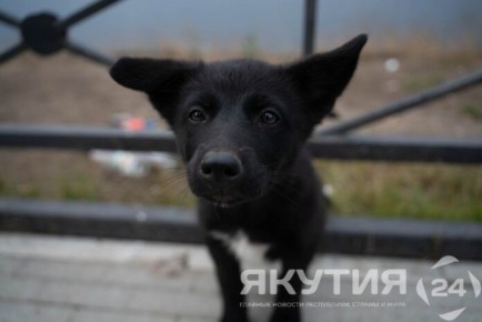 ������� �������� � ������� �� ����� ����� ��� ����������