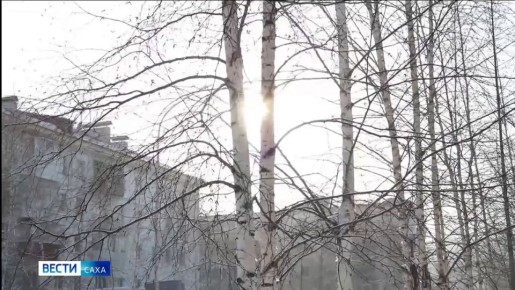 ��� ����� �� ���� �������� �������� � �������� ������� ������ �� ���� ������