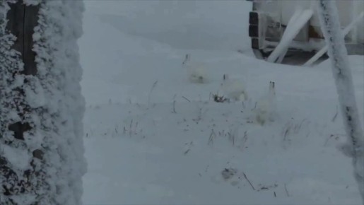 ������� � ������� ����� �������� ������ - ������� �������� ������ ��������� � ����!