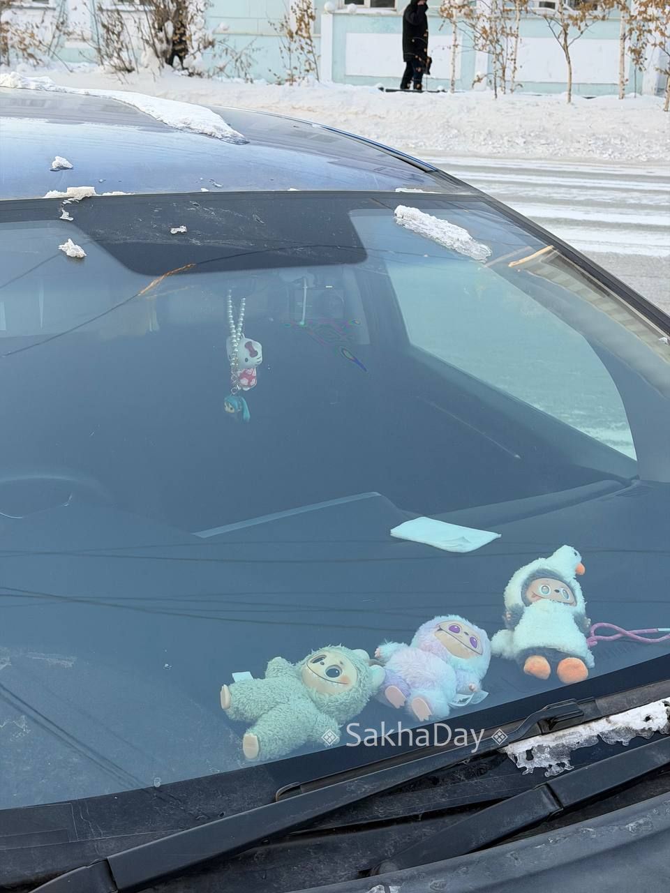 Пусть утро будет добрым! #дляsakhaday