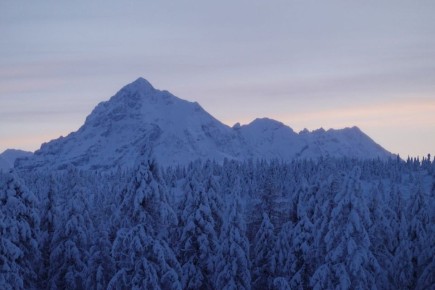 ����������� ������ ��������� ������������ ����������� �� ���� ������