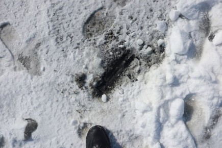 ������ �������������� �������� ��� ���������