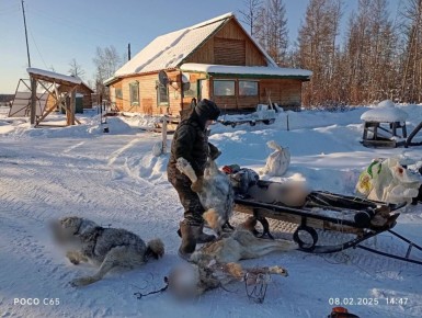 ��������� ������ � ������ ����������� �� ����� �� 10 ���