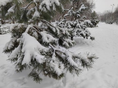 ������ ����, ������!. � ������� 5 ����� ��������� ��������� ���� � ��������� ������-�������� �����