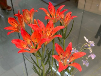 �������� ������������ ������ ����� ������� ��������� � �������� �����