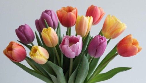 ��� ������: ��������� ���������������� ����� 8 ����� ��� ����� �������� ������