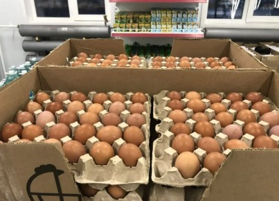 ���� �������, ��� � ������: � ������ ������� ���� �� �������� ��� �������� �������