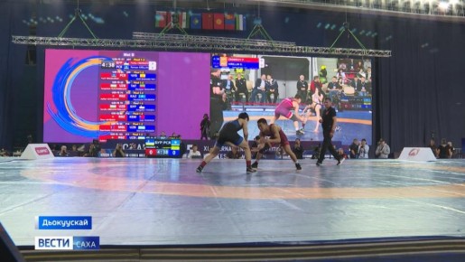 �� XII ������������� ������������ �� ������� ������ ����� ������� 2006�2008 ����� ��������, ����������� ������ ������ ���������, ������� ���������� �� 9 �������� ������ � 5 ���������� �����