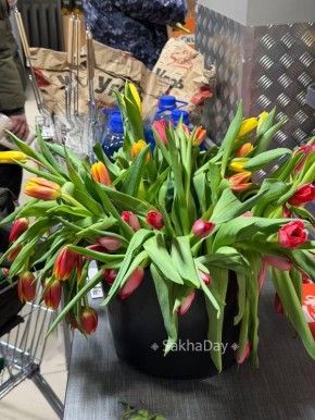 ����� ��������� � �������. #���sakhaday