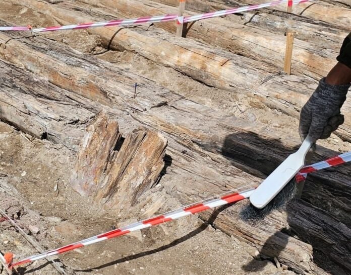 Археологические раскопки планируют провести в историческом центре Якутска