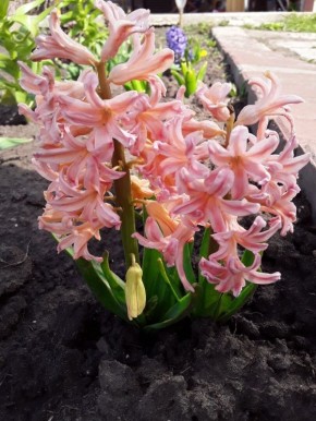 ������� ����������� ��������: ��� �������� ��� �� ����� �� �����