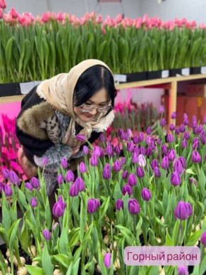 �������� �� ������ ��������