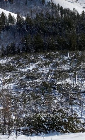 ��� �������� ��� � ������ ������������?