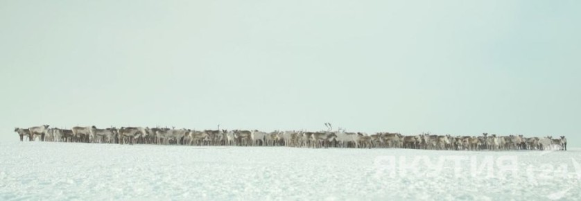 ��������� �������� ������ � ������ ��������� 166 ����� �����