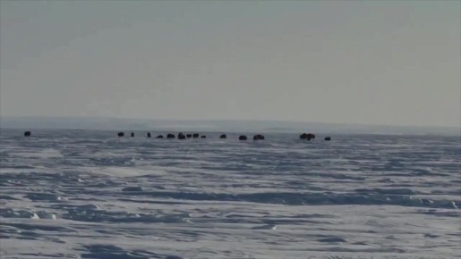 #�������������. � ���� ��������� ����� ������� ������ ������ - �������� �� ��������� ������ �������� ������ ����������