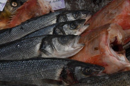 ��� ������������ ����� � ����� � �����