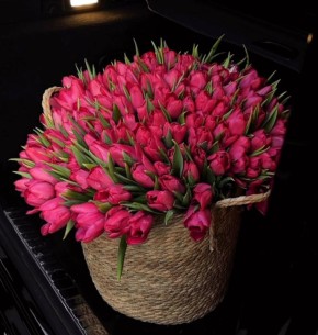 � �� ������, ��� ����� �� 101 �������� ����� � ������� 30 ���