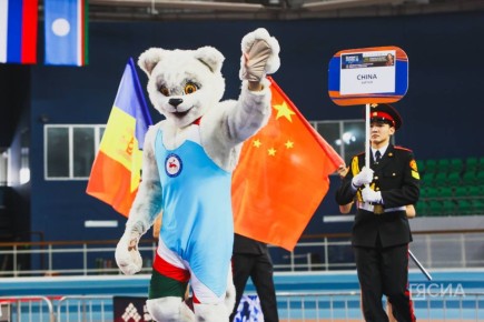 ������� ���������� ������������� �������� XI �������������� ������� �� ���������� ������ ����� �������, ������������ ������ ������������ �������� ������ ���������