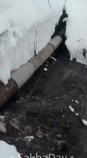 ��������� �����������, �� �������� � ��������: