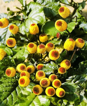 ����� � ����: ������ ��������� �������������