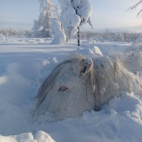 � �������� ����� ��-�� ����������� ��������� ������� ������