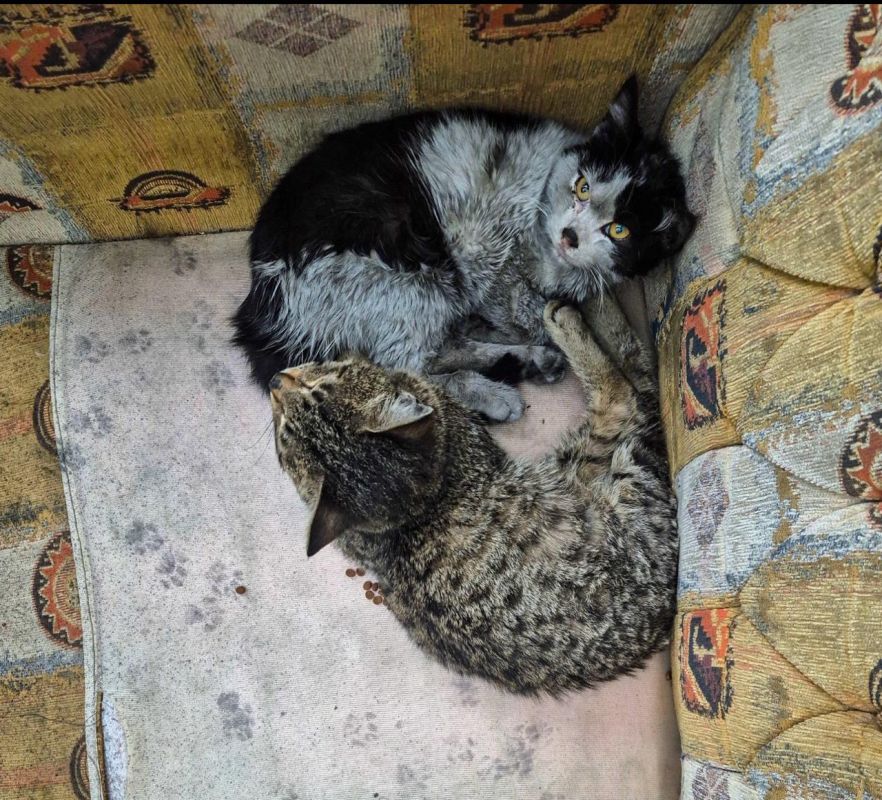 ��������� �������� �������� ����: