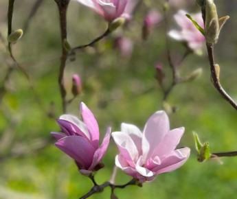 �� ������ �� �������: �������� ���� ��������� ��������� �������� � �������� ������